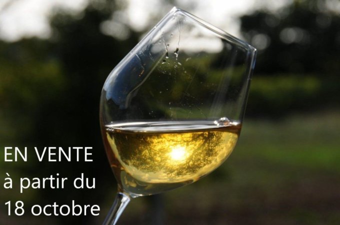 Panini euro 2024 image manquantes